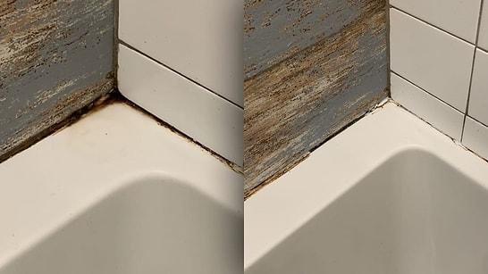 Simple Cleaning Hack for Removing Bathroom Mold Revealed