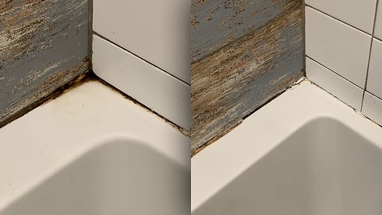 Simple Cleaning Hack for Removing Bathroom Mold Revealed