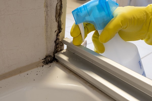 How to Clean Mold in the Bathroom?
