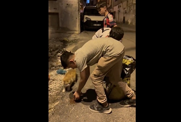Peki çocuklara hayvan sevgisi aşılamak, onların yaşamını nasıl şekillendirir?