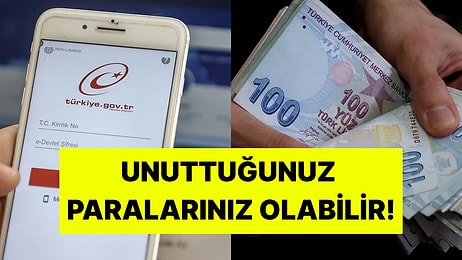 E-Devlet’e Yeni Hizmet Geldi: Unuttuğunuz Paralarınızı Tek Tıkla Görebileceksiniz
