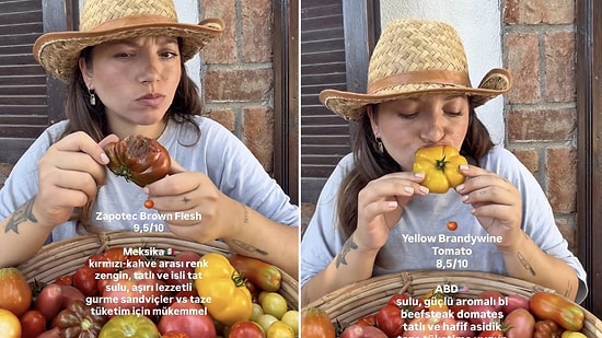 Mouthwatering Taste Test: Content Creator Rates Her Homegrown Variety of Tomatoes