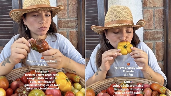 Mouthwatering Taste Test: Content Creator Rates Her Homegrown Variety of Tomatoes
