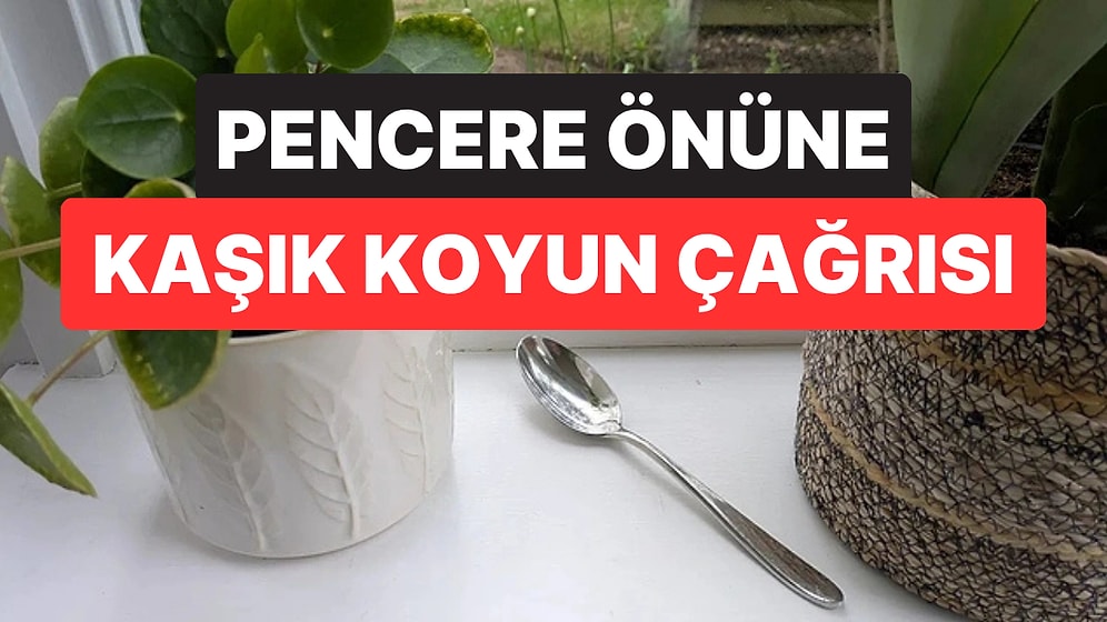 Tüm Evin Havasını Etkiliyor: Uzmanlardan Camın Önüne Metal Kaşık Koyun Önerisi