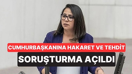TİP Sözcüsü Sera Kadıgil Hakkında "Cumhurbaşkanına Hakaret" ve "Tehdit" Soruşturması