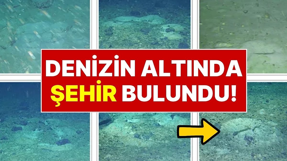 Buzdağı koptu, Antarktika'da devasa 'balık şehri' keşfedildi