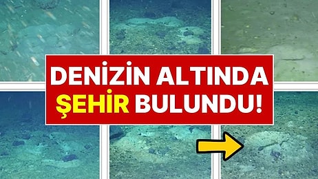 Buzdağı Koptu, Sır Çözüldü: Okyanusun Derinliklerinde Gizlenen 'Balık Şehri' Ortaya Çıktı
