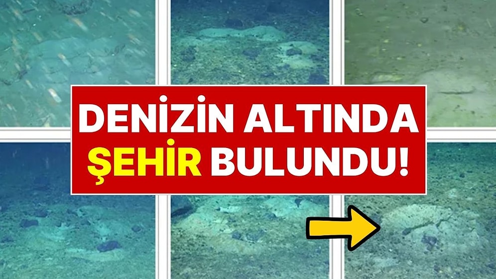 Buzdağı Koptu, Sır Çözüldü: Okyanusun Derinliklerinde Gizlenen 'Balık Şehri' Ortaya Çıktı