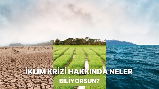 İklim Krizi Hakkında Ne Kadar Bilgilisin?