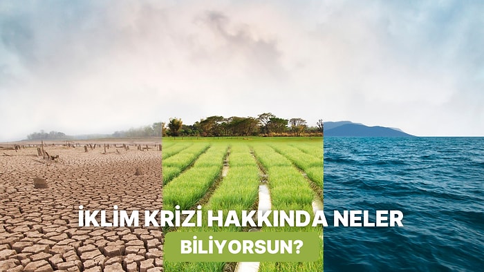 İklim Krizi Hakkında Ne Kadar Bilgilisin?
