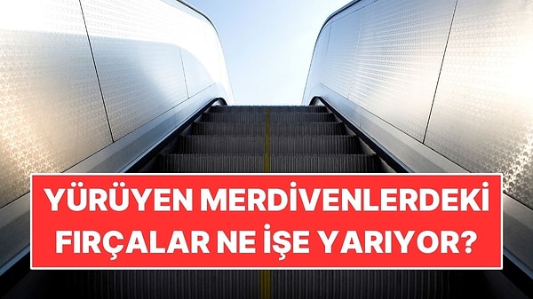 Yürüyen Merdivendeki Fırçaların Gerçek Görevi Ortaya Çıktı