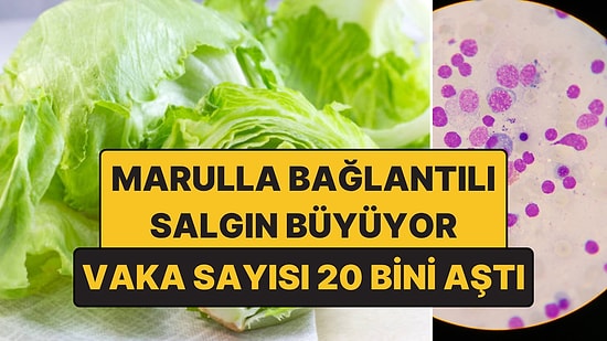 Marulla Bağlantılı Cyclospora Salgını Büyüyor: Vaka Sayısı 20 Bini Aştı