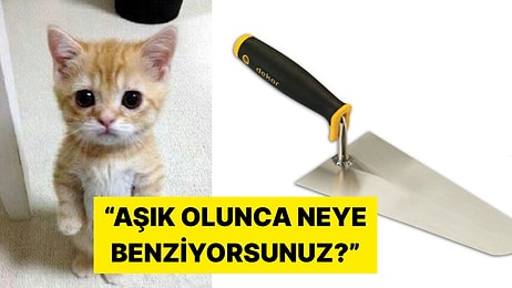 Aşık Olunca Neye Benzediklerini Temsili Görsellerle Anlatan Kişiler