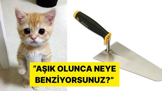 Aşık Olunca Neye Benzediklerini Temsili Görsellerle Anlatan Kişiler