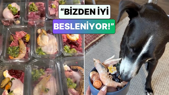 Köpeği İçin Günlük Öğün Hazırlayan Kadın Yaptığı 1 Aylık Mama Stoğunu Paylaştı