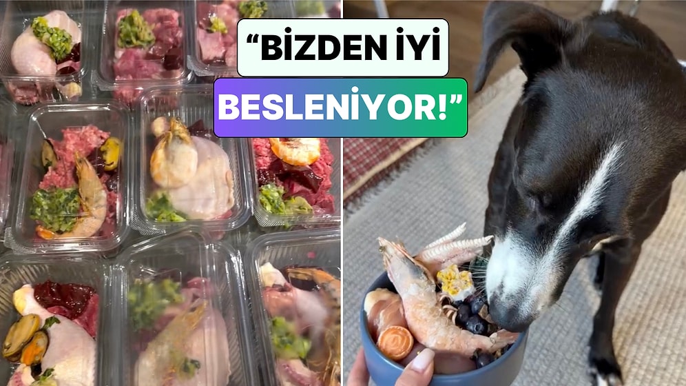 Köpeği İçin Günlük Öğün Hazırlayan Kadın Yaptığı 1 Aylık Mama Stoğunu Paylaştı