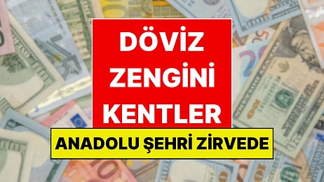Türkiye'nin Döviz Zengini İlleri Belli Oldu: Anadolu Şehri Zirvede