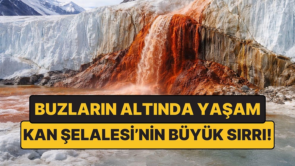 Kan Şelalesi’nde Antik Yaşam İzleri Bulundu: Milyonlarca Yıllık Sır Çözülüyor