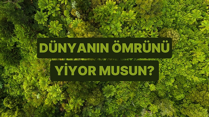 Tüketim Alışkanlıklarına Göre Dünyanın Ömründen Ne Kadar Yedin?