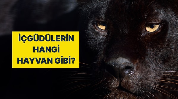 İçindeki Hayvan Hangisi? İçgüdülerin Cevaplıyor!