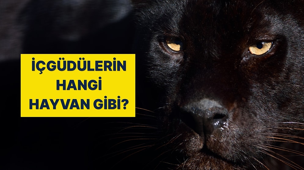 İçgüdüsel Olarak Hangi Hayvan Gibi Hareket Ediyorsun?
