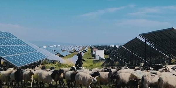 Çölleşmeyle mücadelede enerji ve arazi yönetimini birleştiren modeller öne çıkmaya başladı