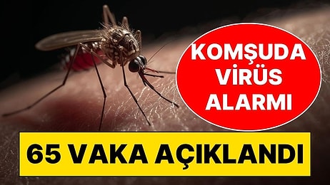 Batı Nil Virüsü Alarmı: Sivrisineklerden Yayılıyor, Vaka Sayısı Hızla Artıyor!