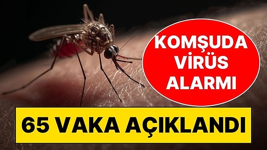Batı Nil Virüsü Alarmı: Sivrisineklerden Yayılıyor, Vaka Sayısı Hızla Artıyor!
