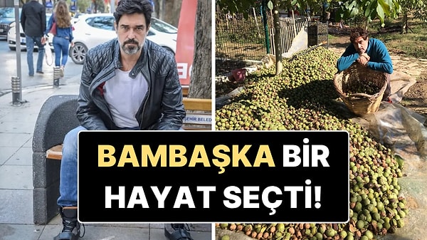 Şöhreti Bırakıp Çiftçiliğe Yönelmişti: Burak Hakkı Ceviz Hasadı İçin Kolları Sıvadı