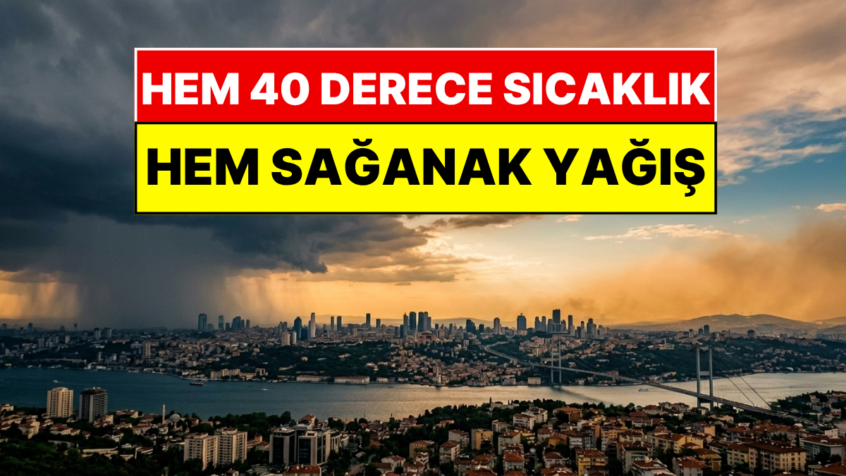 s-5d803e84f733ca8bcadea316ff9b97974eddfe1b.jpg