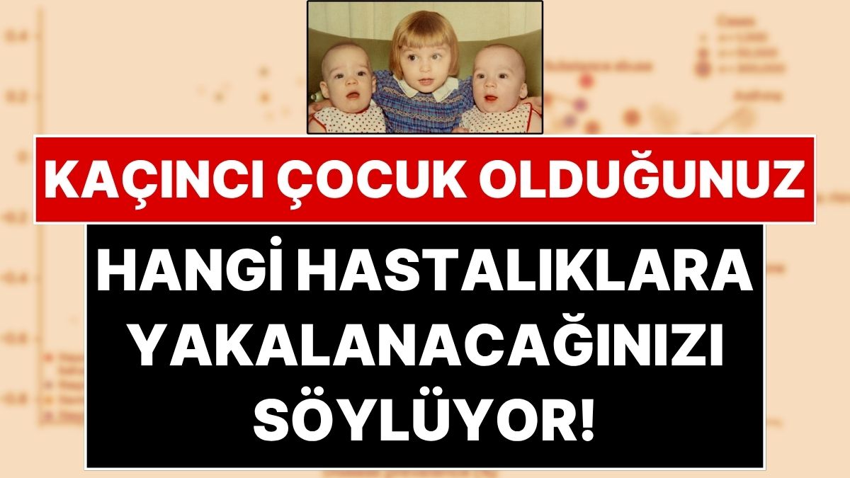 s-08998f3b7a2cd2fd73453ff1bd969db3c36e3623.jpg