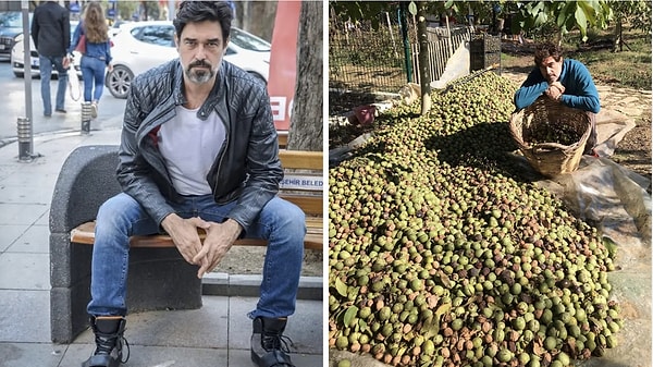 Burak Hakkı Trades the Spotlight for Walnut Harvest as Farm Life Continues