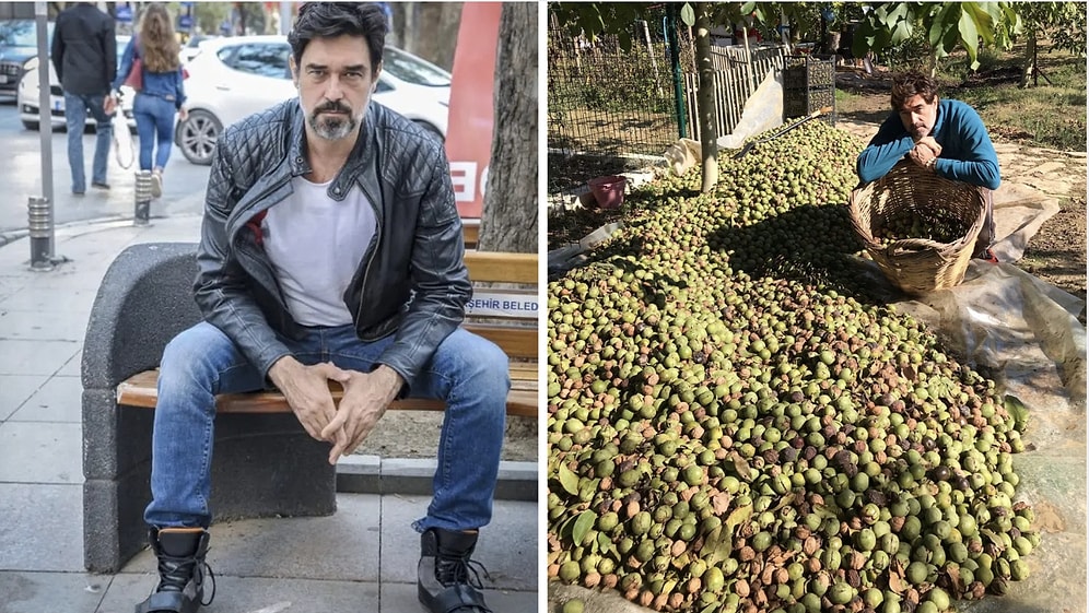 Burak Hakkı Trades the Spotlight for Walnut Harvest as Farm Life Continues