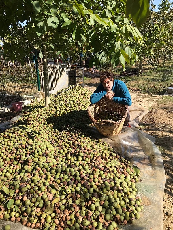 Choosing to distance himself from the hectic pace of Istanbul, Burak Hakkı established a new life immersed in nature years ago by purchasing approximately 35 acres of land in the village of Güneyli, connected to the Gelibolu district of Çanakkale.