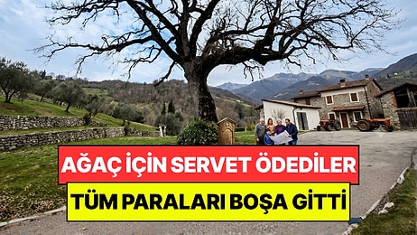 Yüz Yıllık Ağaç İçin 3 Kuşak Boyunca Servet Ödediler: Harcadıkları Tüm Para Boşa Gitti
