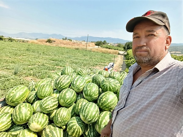 Hasat ettiği karpuzları traktörünün kasasına yükleyip pazaryerinin yolunu tutan Gençelli, haftanın diğer günlerinde de Sarıgöl ilçe merkezinde satış yaparak ürününü değerlendirdiğini söyledi.