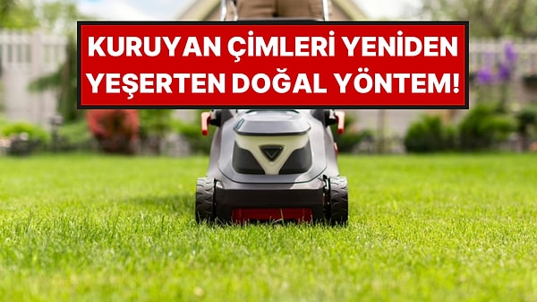 Tek Bir Malzeme Çimleri Daha Gür Yapıyor