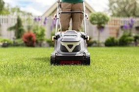 Natural Trick to Revive Dry Lawns: One Simple Ingredient Makes Grass Greener and Thicker