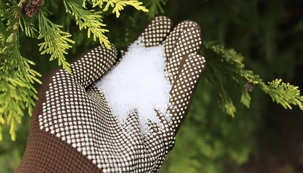 The steps to implement this method, which can be applied without the need for harsh synthetic chemicals, are quite straightforward: