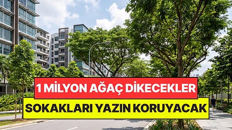 Ülkenin Sokaklarına 1 Milyon Ağaç Dikilecek: Klimalara Veda Edecekler