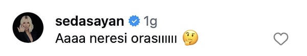 Sosyal medyayı aktif kullanan Seda Sayan o videoya yorum yaptı elbette;