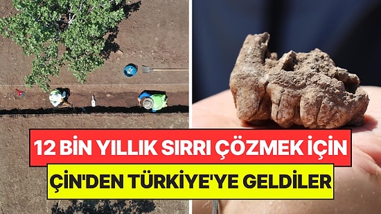 12 Bin Yıllık Sırrı Çözmek İçin Türkiye'ye Geldiler: Çinli Arkeologlar Şanlıurfa'da Kazılara Başladı