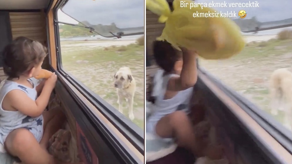 Generous Kid Shares Entire Bread With Stray Dog Outside Camper Van