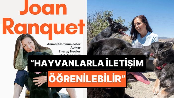 Türkiye’de Bir İlk: Hayvanlara Fısıldayan Kadından Türkiye'ye Özel Eğitim!