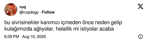 Her şey mümkün.