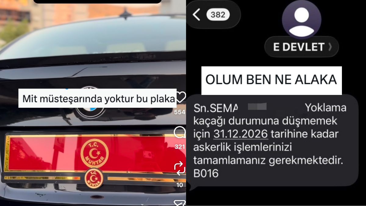 s-e5aa0f8b7fa89387858fb792a3516bcf0e1268a1.jpg