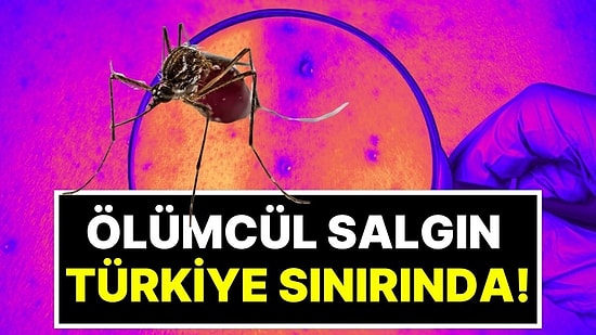 Ölümcül Virüste Vakalar Hızla Artıyor! Türkiye Sınırında Sivrisinek Alarmı Verildi, Uzmanlardan Acil Uyarı Var