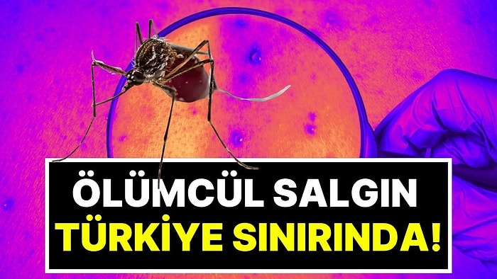Ölümcül Virüste Vakalar Hızla Artıyor! Türkiye Sınırında Sivrisinek Alarmı Verildi, Uzmanlardan Acil Uyarı Var