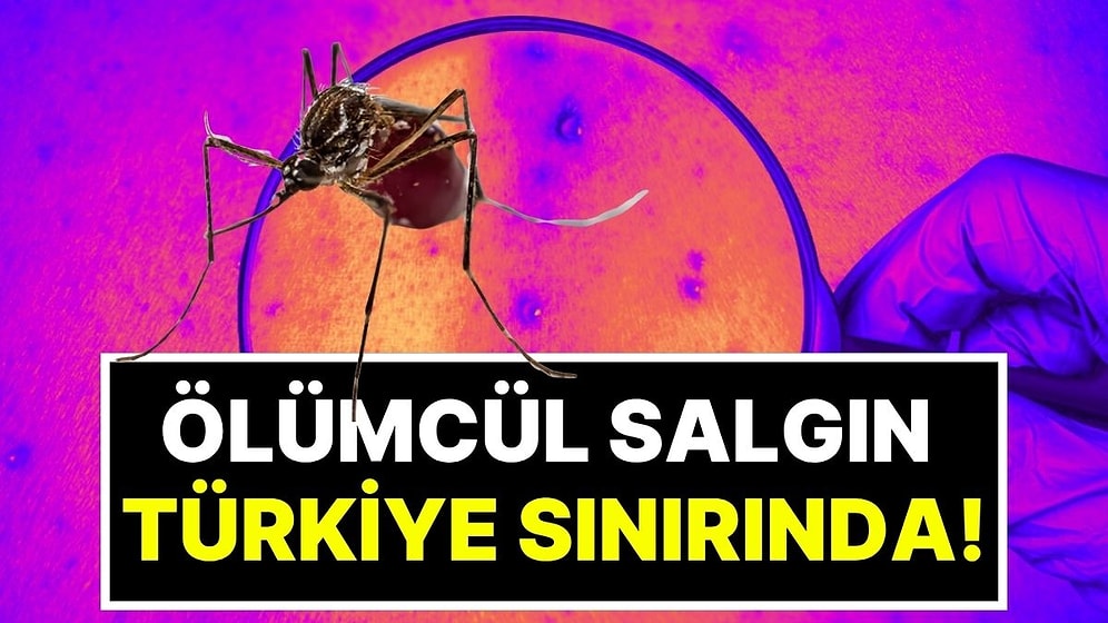 Ölümcül Virüste Vakalar Hızla Artıyor! Türkiye Sınırında Sivrisinek Alarmı Verildi, Uzmanlardan Acil Uyarı Var