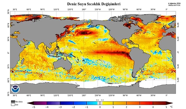 İklim değişikliği ve deniz suyu sıcaklıklarındaki artışın küresel ve bölgesel etkilerini her geçen gün göstermeye devam ediyor.